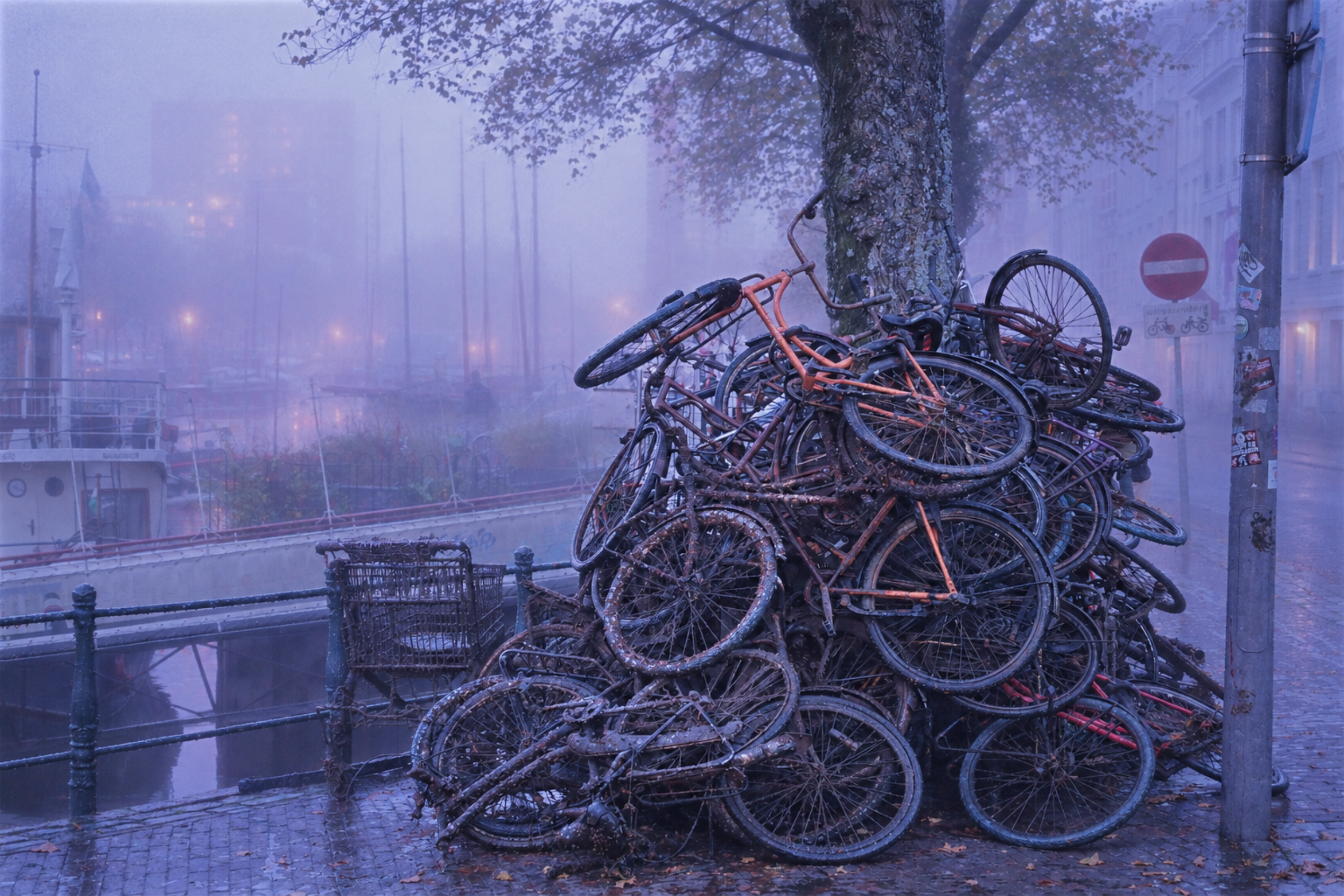 Rotterdam bikes